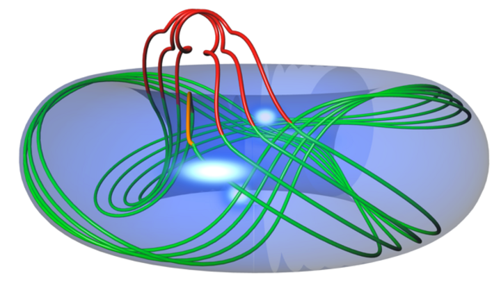 Knot Theory